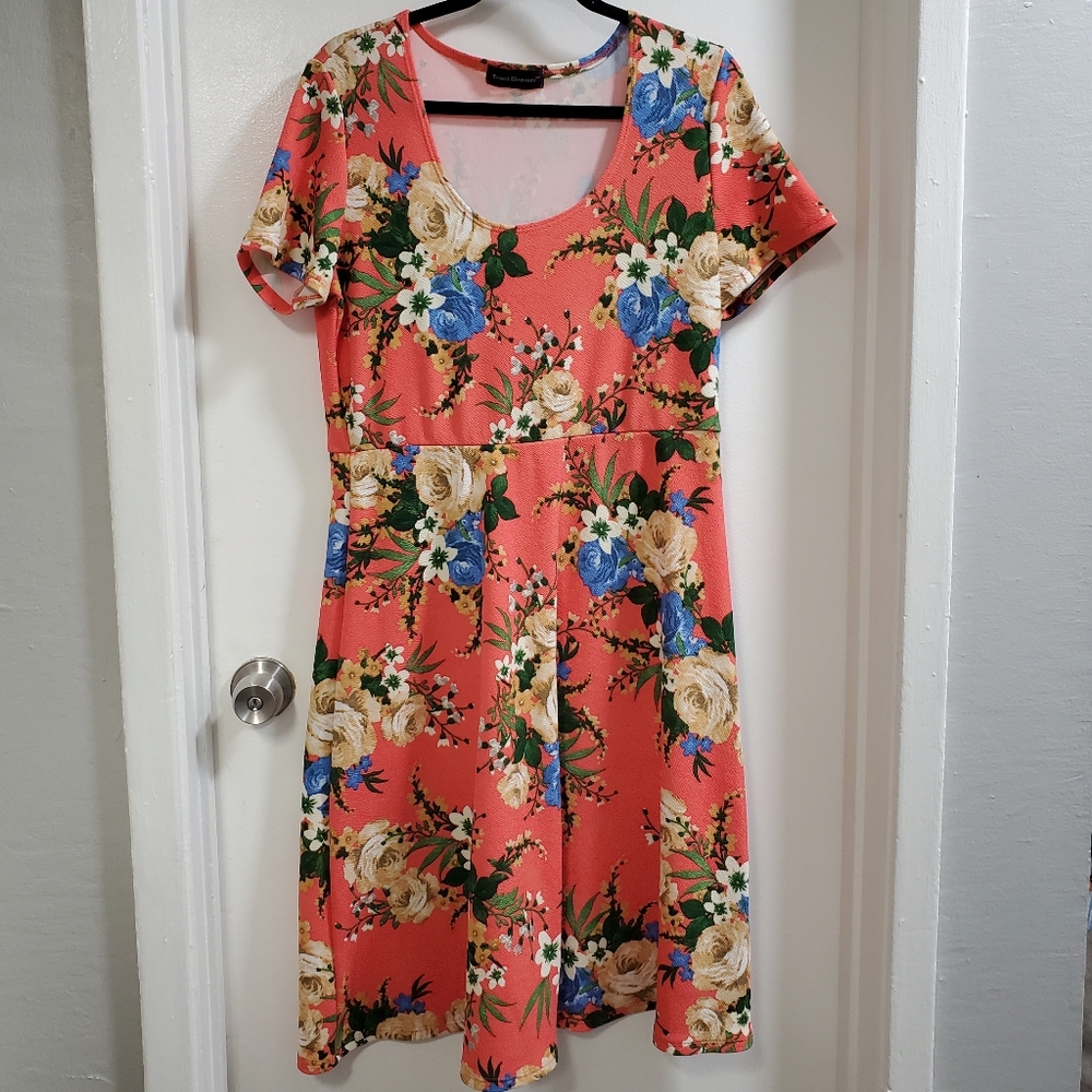 Travel dress, floral, no wrinkle!